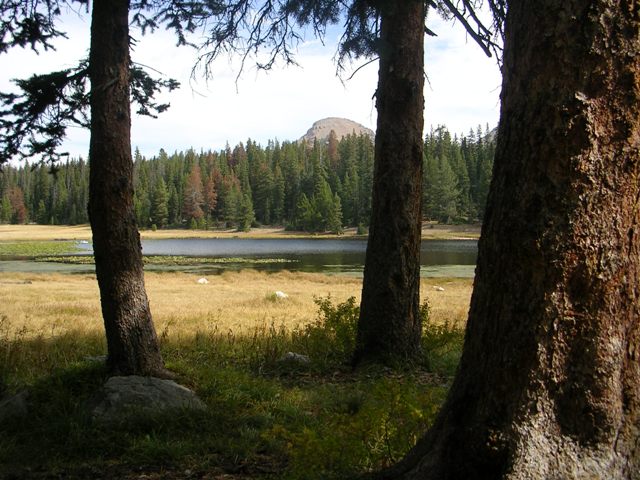 Lilly Lake